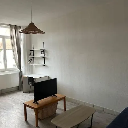 Apartment En Plein Centre Proche Du Tram *