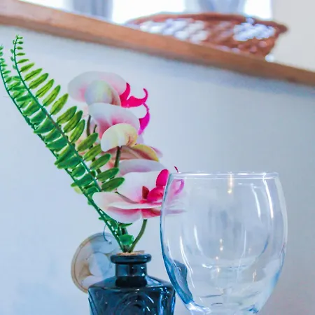 En Plein Centre Proche Du Tram Lägenhet